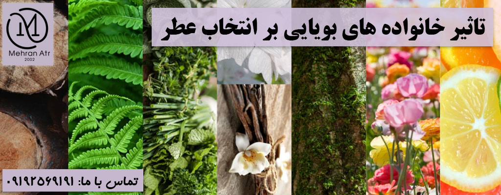 خانواده بویایی عطر