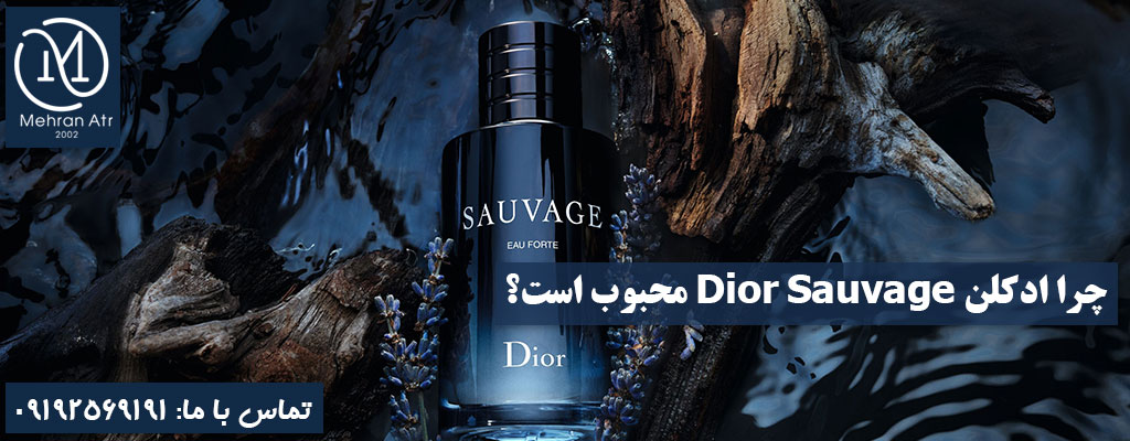 ادکلن Dior Sauvage
