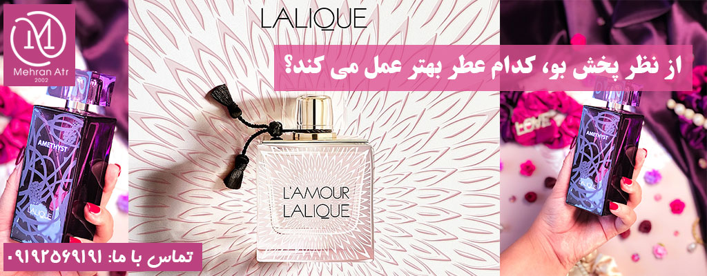 مقایسه ماندگاری لالیک آمیتیس و لالیک لامور